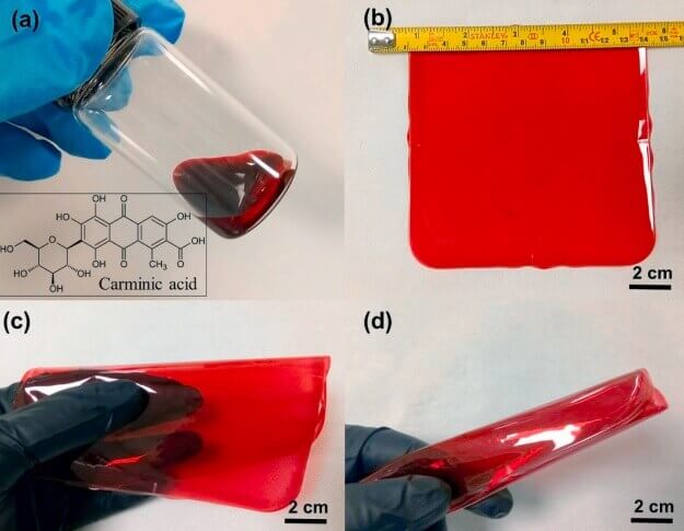 Biyoteknolojide Yeni Trendler