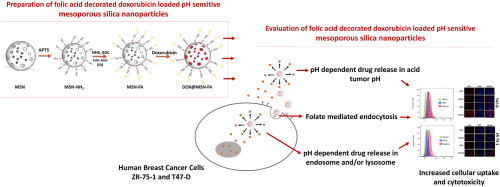 İlaç Taşıyıcı Sistemler